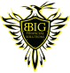 BBig Financial Solutions LLC