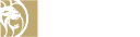 BetMGM LLC