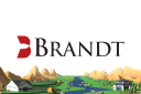 Brandt Information Services, LLC