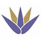 Elyssium Advanced Skincare