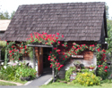 Husch Vineyards