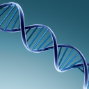 iGenomeDx Inc.