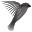 Meridian Bird Removal