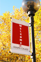 Olympic College