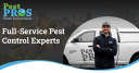 Pest Pros Pest Solutions