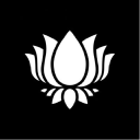 Purple Lotus