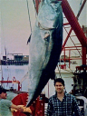 SAGER'S SEAFOOD PLUS, INC.