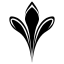 Tri Valley Plastic Surgery