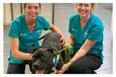 2AP6fuWCxINuogc6rxQ3dGH8v3R7UWLLLKHd4MGw.png
