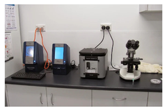 WmcJOQ8yGJvj3VihJxatTK3k7EejlbkpvFguy1YX.png