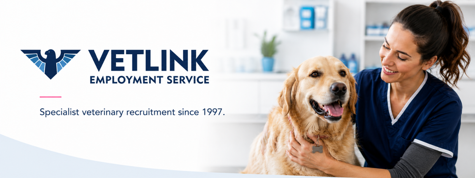 dvz0mpQ6jB5tzQe7PAKPAPJMT3ym71A6qsaQxjCP.png