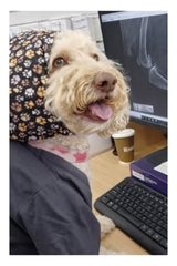 fkrev3WBUp263mI5QwGQnhuah3dtY11kEifn0eyM.png
