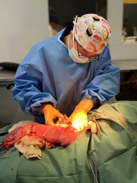 Surgical procedure