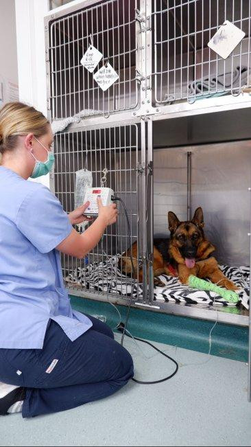 Hospital patient care