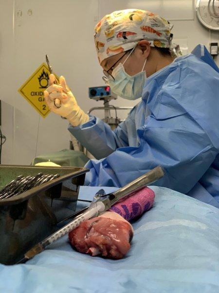 Surgical care