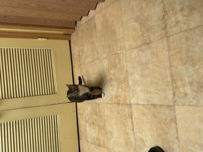 Darcie michna Michna