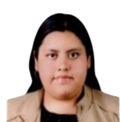 Cinthia Stephanie Lizarraga Navarro