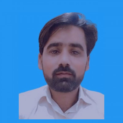 Muhammad Tauqeer